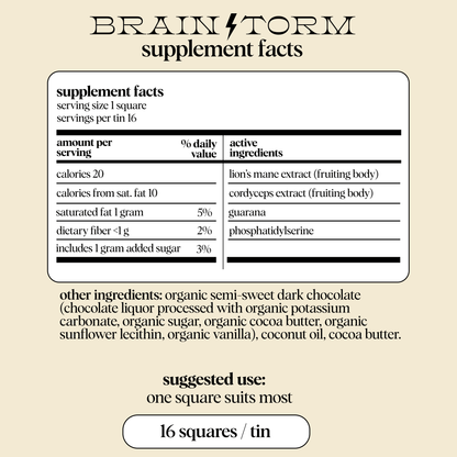 Brainstorm Mushroom Chocolate for Focus