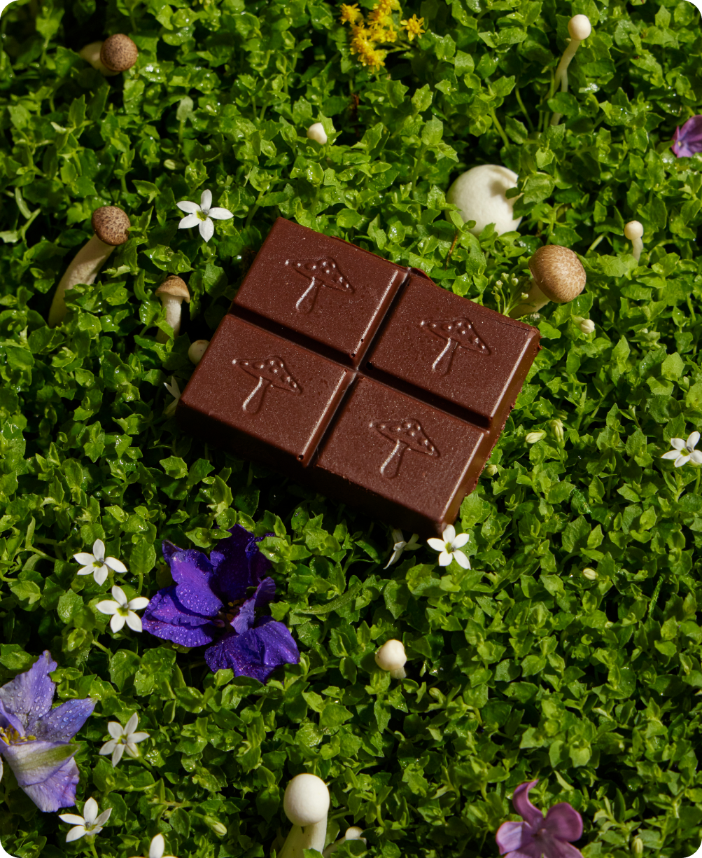 Nightcap Mushroom Chocolate for Deep Sleep