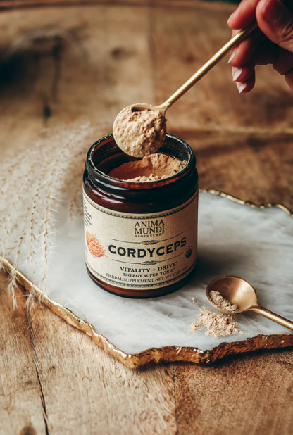 Cordyceps | Energy Super Tonic